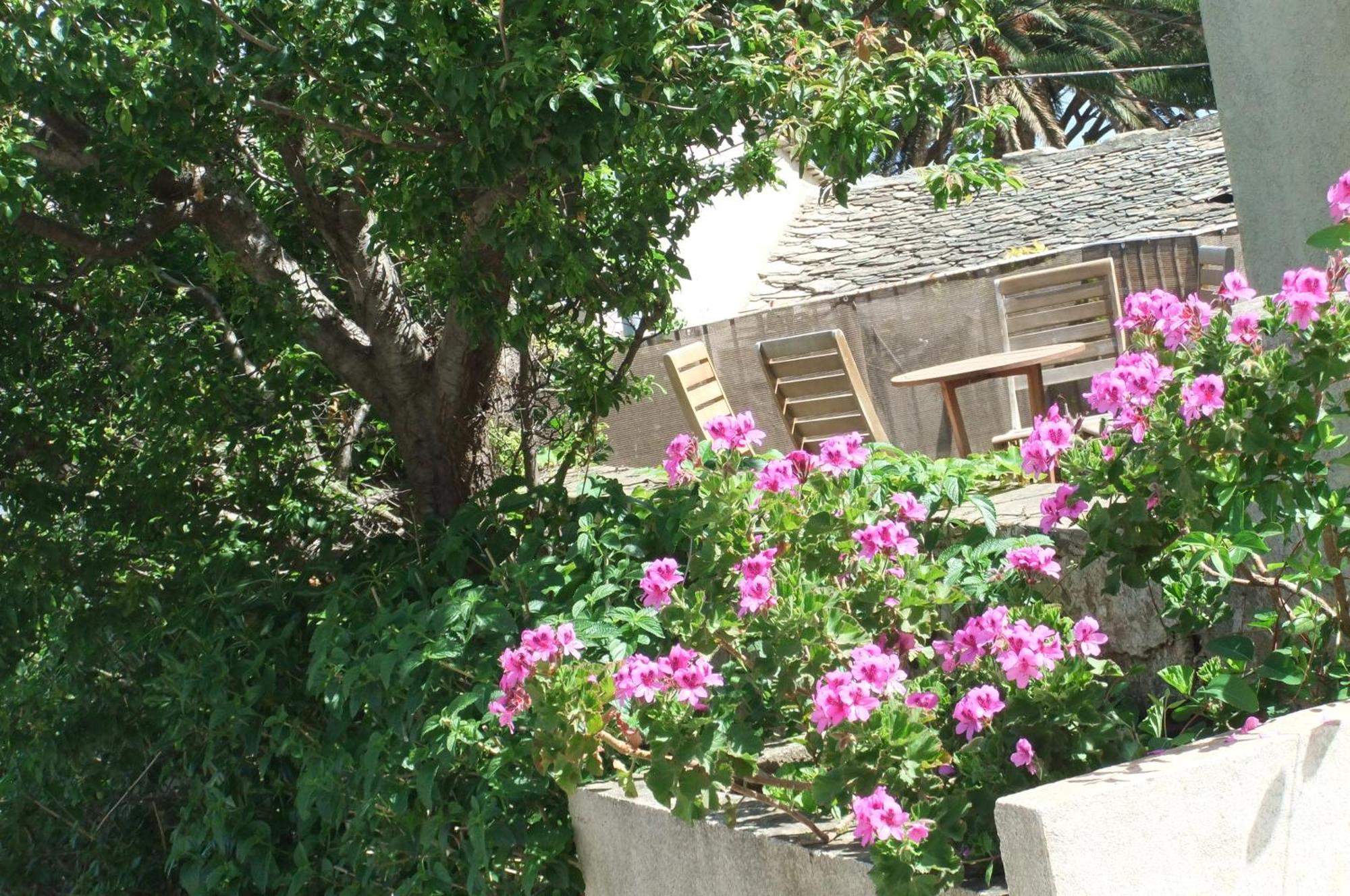 Hotel U Pozzu Sisco ภายนอก รูปภาพ